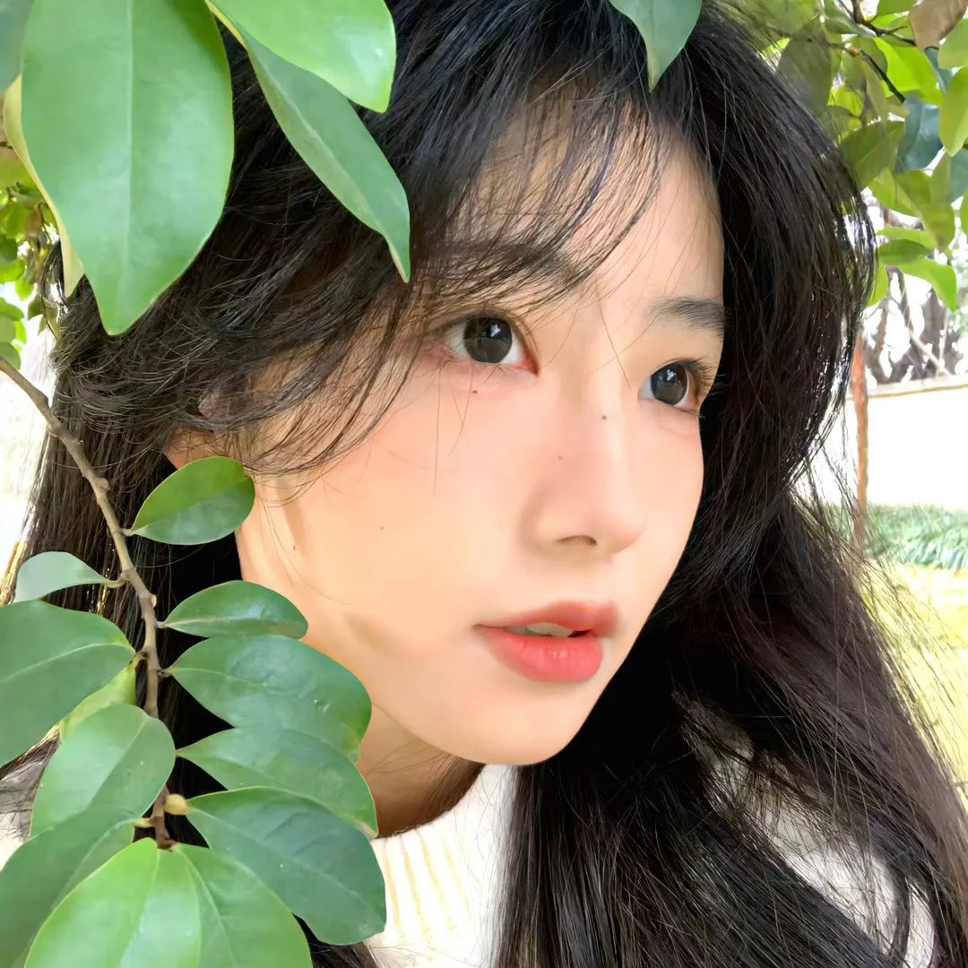 摩登岳父